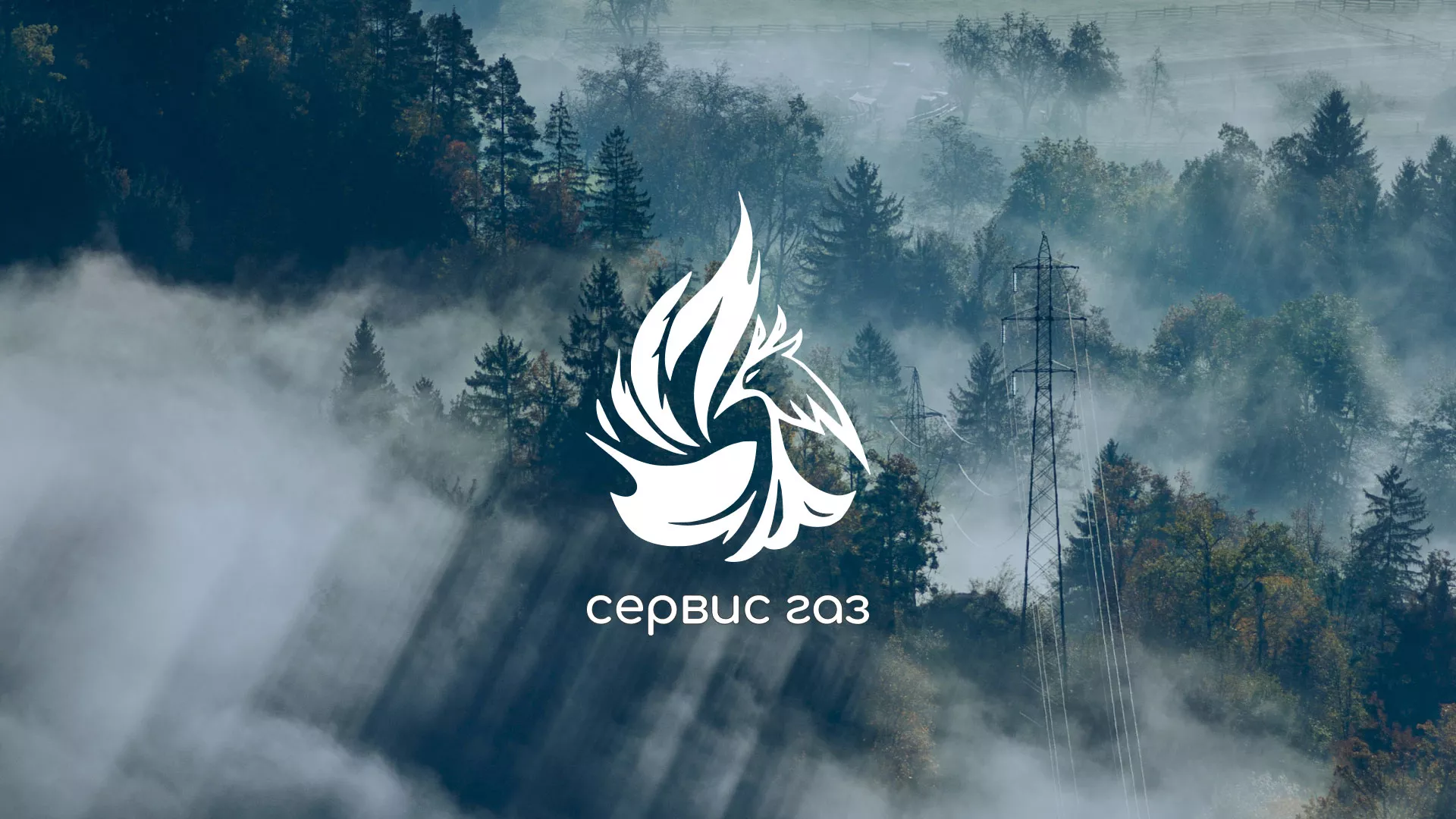 Создание сайта компании «Сервис газ» в Приморске