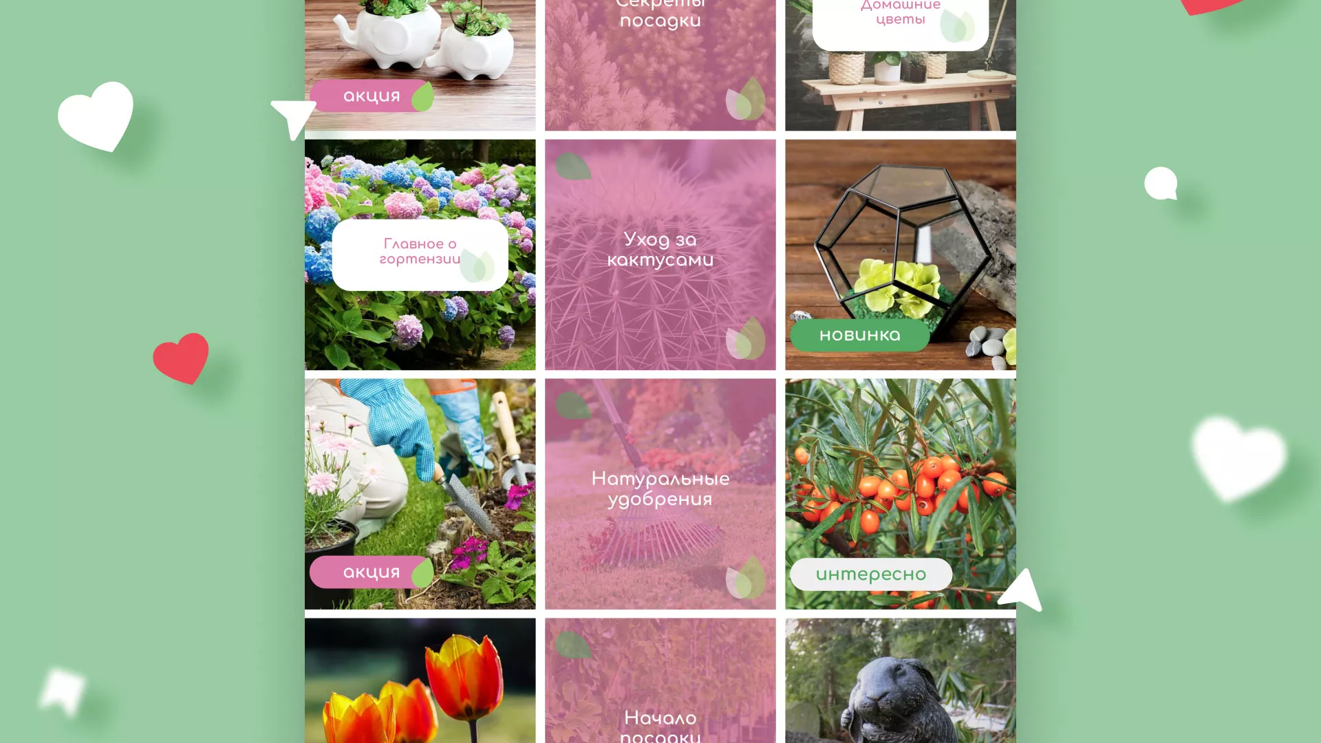 Разработка оформления профиля Instagram для магазина «Floraint» в Приморске