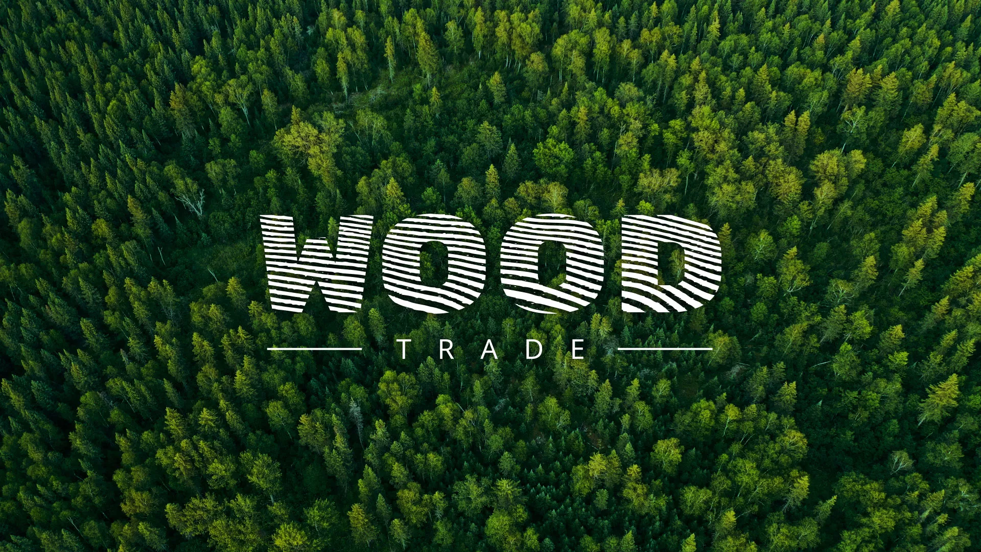 Разработка интернет-магазина компании «Wood Trade» в Приморске