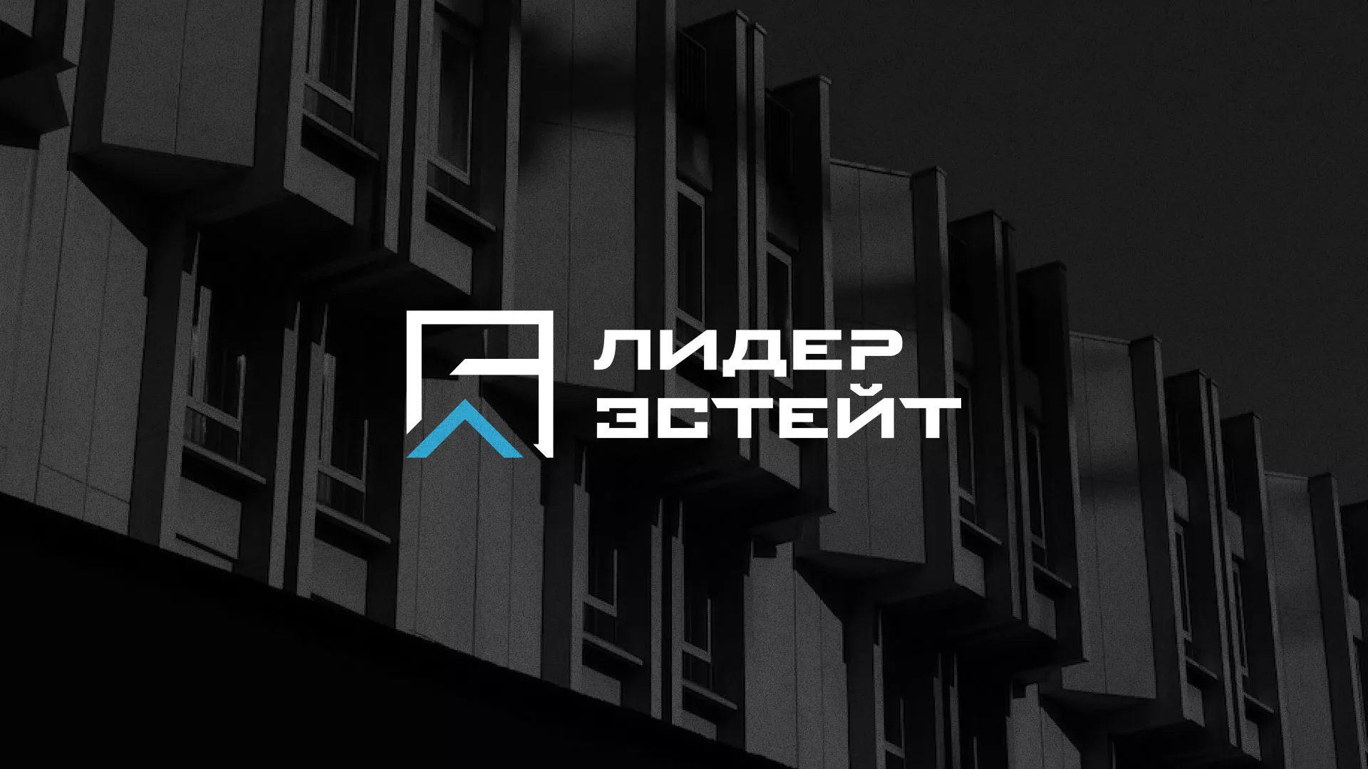 Разработка логотипа агентства недвижимости «Лидер Эстейт» в Приморске
